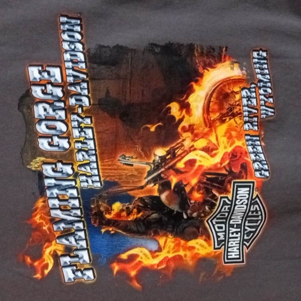 Harley-Davidson Gray Short Sleeve Pocket Tee Men’s Large - Picture 3 of 6